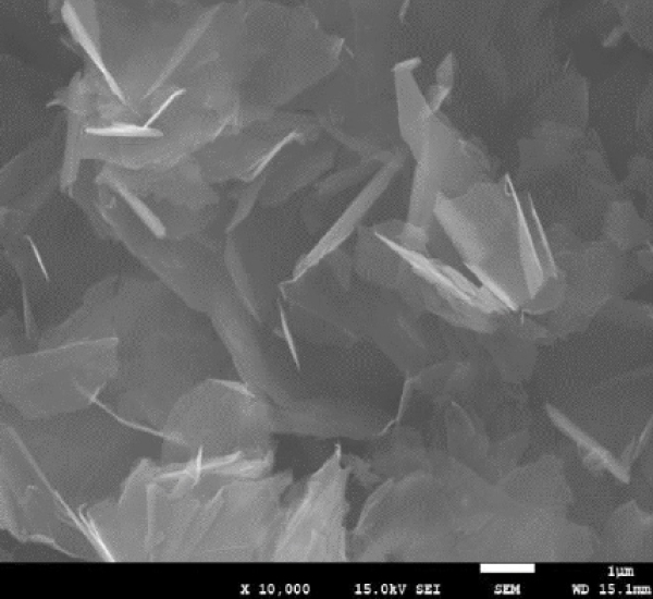 ラマン分光データその１