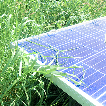 雑草の繁茂による太陽光パネルへの日射の妨げイメージ