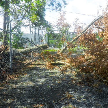 雪や繁茂など自然災害によるフェンスの倒壊イメージ